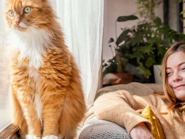 Everything You Need to Know About Cat Scratch Fever