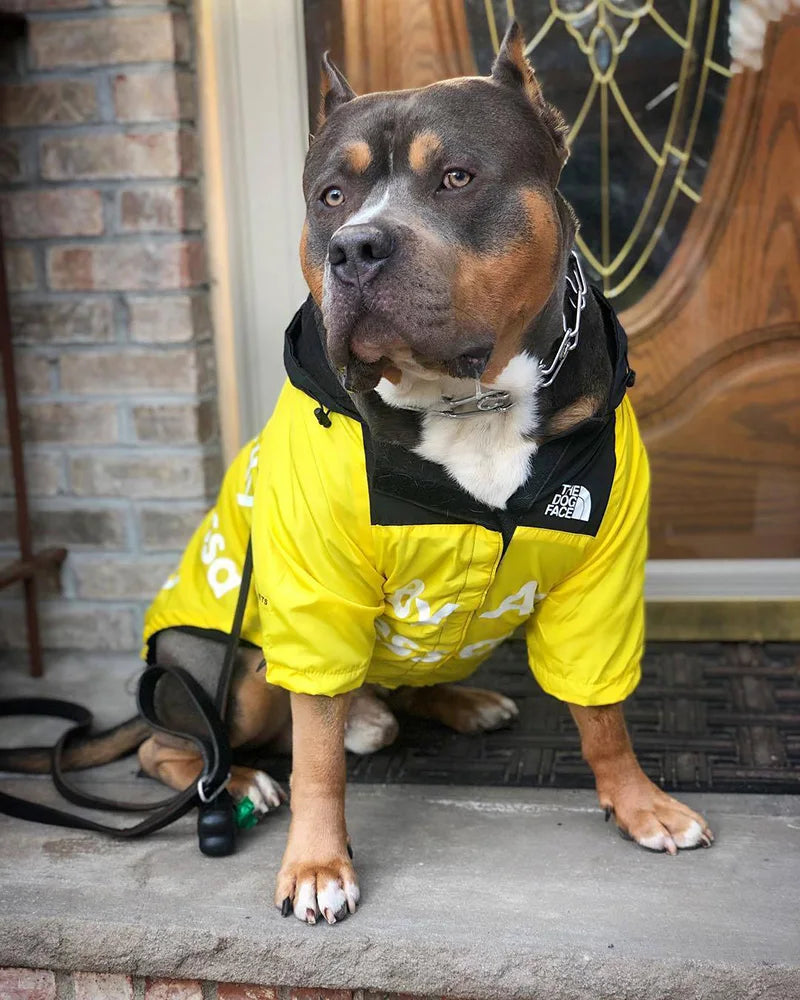 Waterproof Puppy Jacket