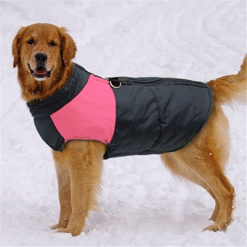 Super Warm Waterproof Dog Coat