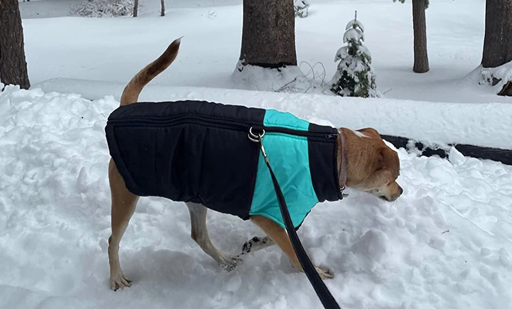 Waterproof Vest