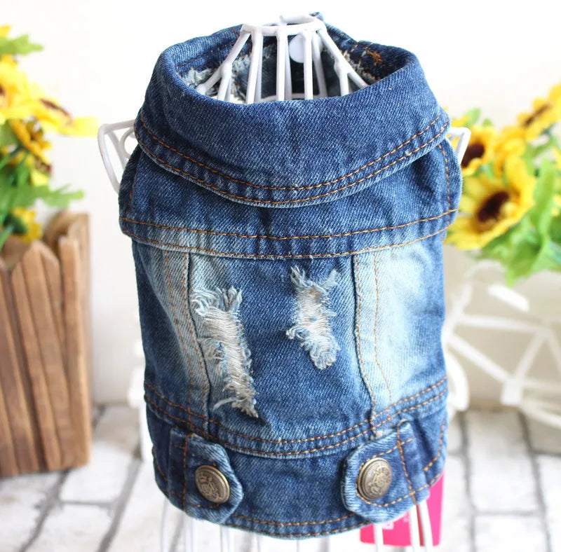 Denim Cat Clothes