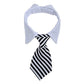 Formal Necktie Collar