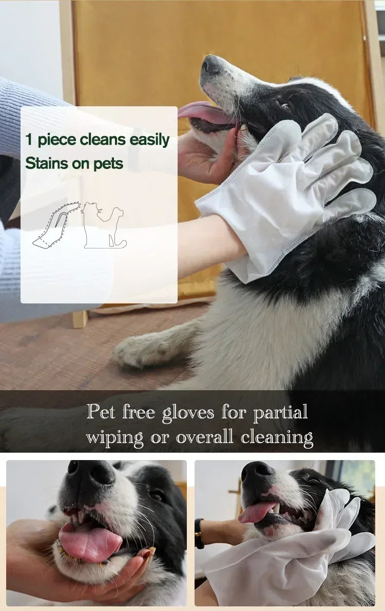 6pcs Pet Body Wipes No Rinse Cleaning Gloves Cat and Dog Grooming Mild Deodorizing Wipes Special Cleaning and Beauty Supplies