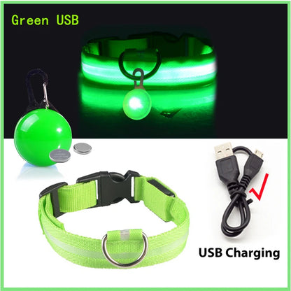 USB Charging Glowing Collar With Pendant