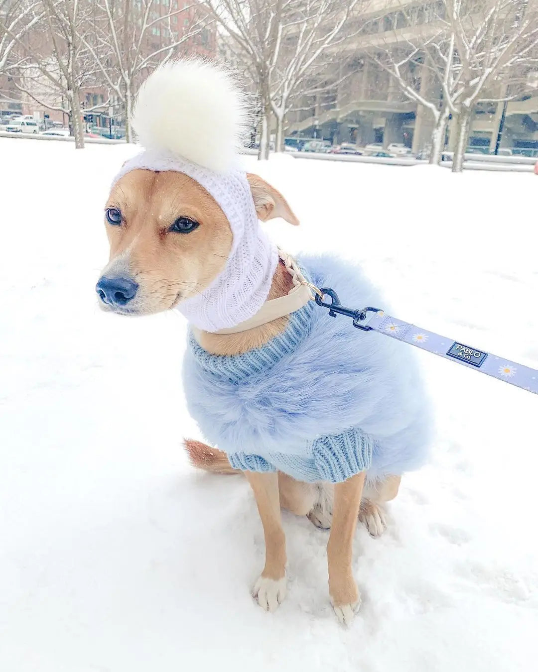 Winter Warm Dog Clothes