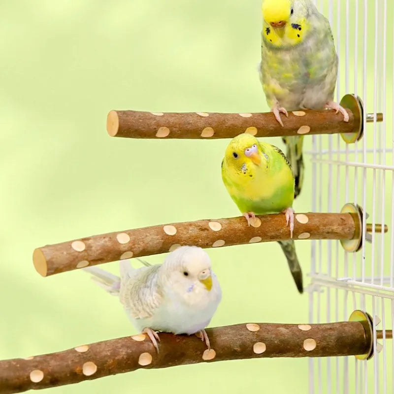 Natural Wooden Birds Perch