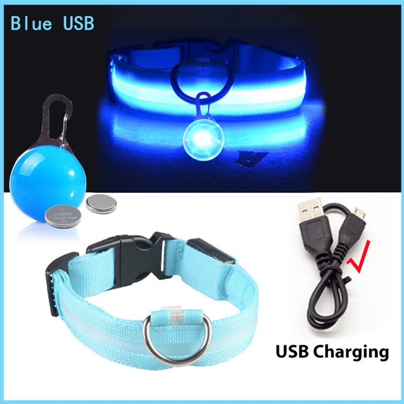 USB Charging Glowing Collar With Pendant