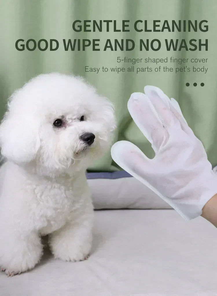 6pcs Pet Body Wipes No Rinse Cleaning Gloves Cat and Dog Grooming Mild Deodorizing Wipes Special Cleaning and Beauty Supplies