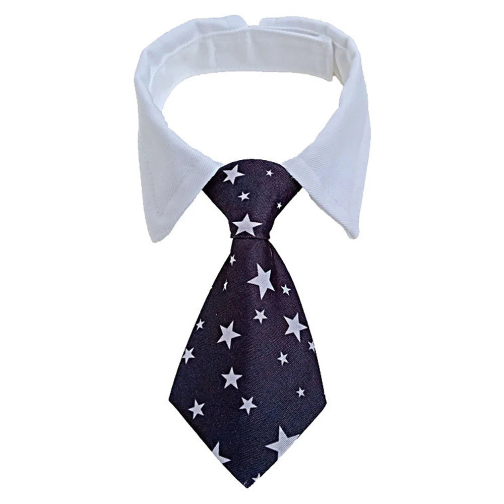 Formal Necktie Collar