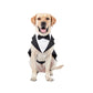 Formal Dog Tuxedo